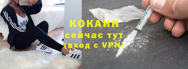 индика Зеленокумск