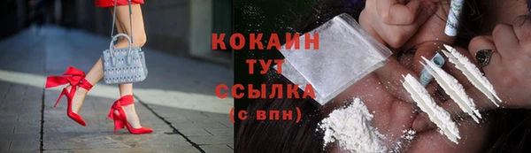 индика Зеленокумск