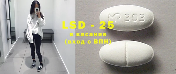 индика Зеленокумск