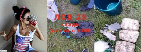 индика Зеленокумск