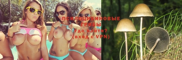 индика Зеленокумск