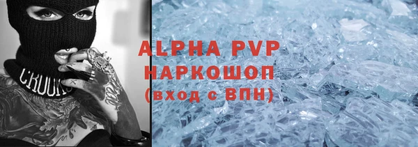 индика Зеленокумск