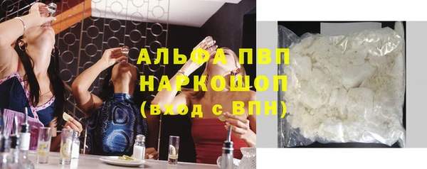 индика Зеленокумск