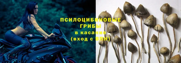 хмурый Зерноград