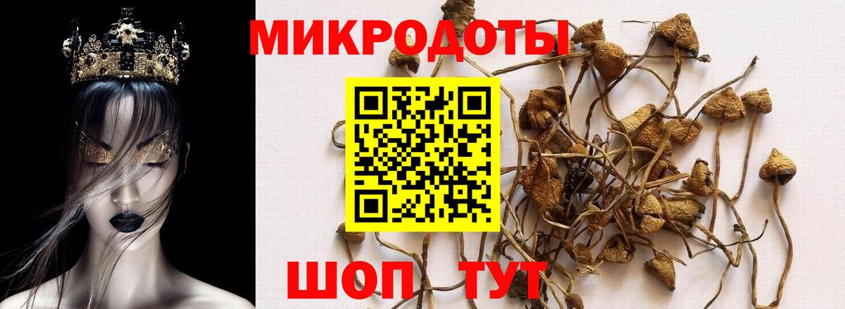 купить наркоту  Псилоцибиновые грибы Psilocybe  Вход с VPN  Галлюциногенные грибы Magic Shrooms  Благовещенск 